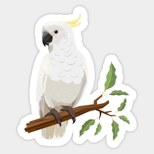 Cockatoo bird Sticker